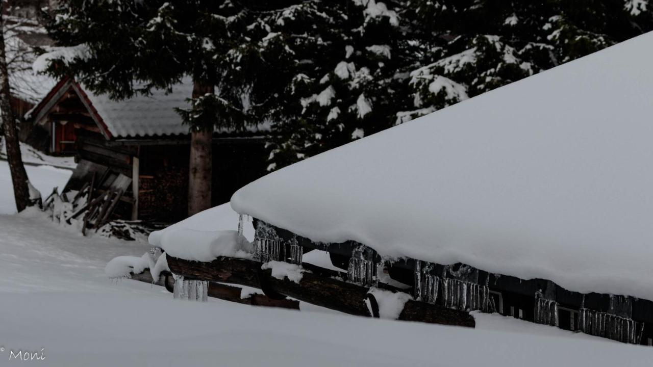 Appartement Haus Timmler à Sankt Anton am Arlberg Extérieur photo